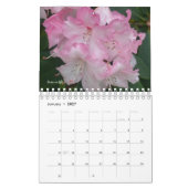Calendrier Fleurs roses du jardin (Jan 2027)