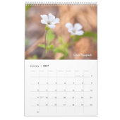 Calendrier Fleurs sauvages (Jan 2027)