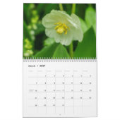 Calendrier Fleurs sauvages (Mar 2027)