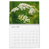 Calendrier Fleurs sauvages (Jan 2027)