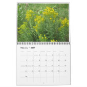 Calendrier Fleurs sauvages (Feb 2027)