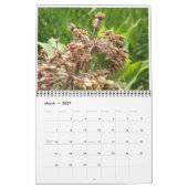Calendrier Fleurs sauvages (Mar 2027)