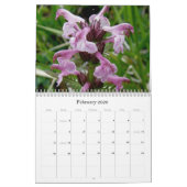 Calendrier Fleurs sauvages 2 d'île d'Unalaska (Feb 2026)