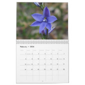Calendrier Fleurs sauvages australiens (Feb 2026)