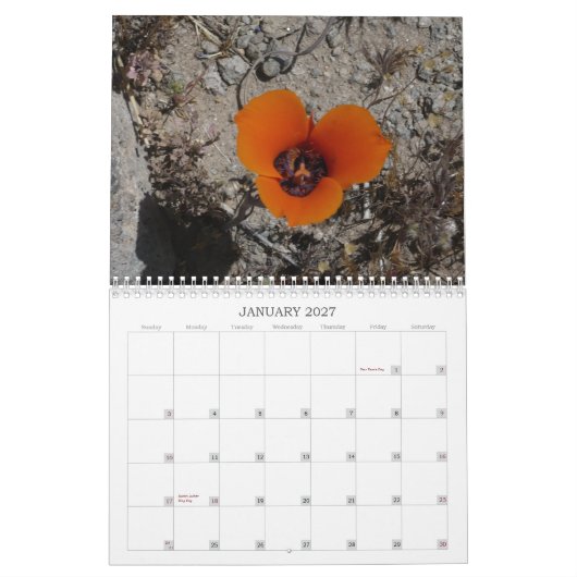 Calendrier Fleurs sauvages Calander de désert (Jan 2027)