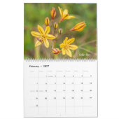Calendrier Fleurs Sauvages Colorées (Feb 2027)