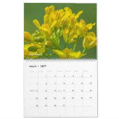 Calendrier Fleurs Sauvages Colorées (Mar 2027)
