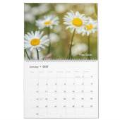 Calendrier Fleurs Sauvages Colorées (Jan 2027)