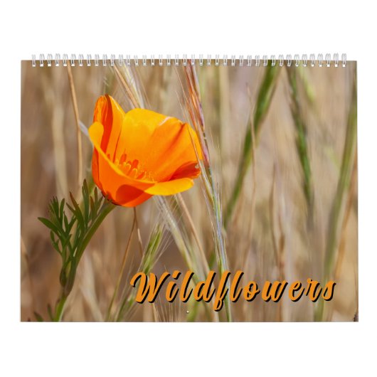 Calendrier Fleurs Sauvages Colorées (Protection)