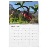 Calendrier Fleurs sauvages de Californie 2020 (Feb 2026)