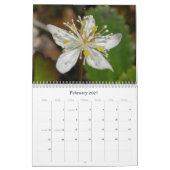 Calendrier Fleurs sauvages d'île d'Unalaska (Feb 2027)