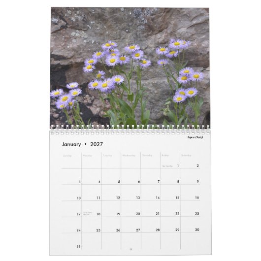Calendrier Fleurs sauvages du Colorado (Jan 2027)