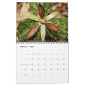 Calendrier Fleurs sauvages, du sentier Ocmulgee (Feb 2027)
