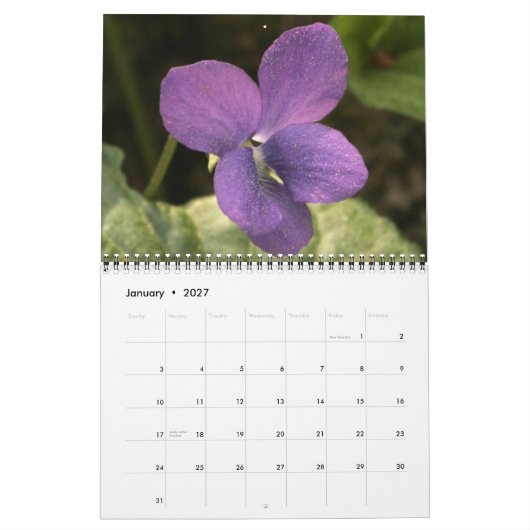 Calendrier Fleurs sauvages, du sentier Ocmulgee (Jan 2027)
