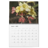 Calendrier Fleurs sauvages, du sentier Ocmulgee (Mar 2027)
