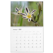 Calendrier Fleurs sauvages occidentaux 2025 (Jan 2027)