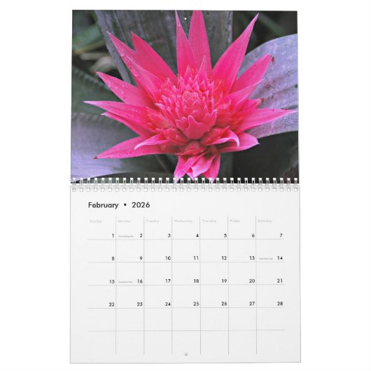 Calendrier Fleurs tropicales (Feb 2026)