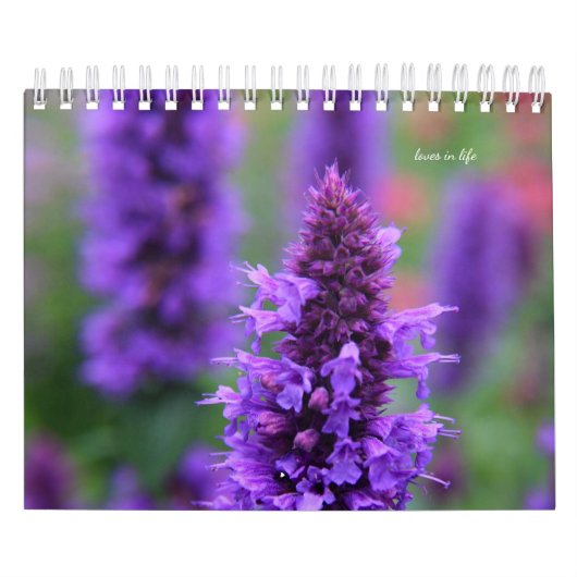 Calendrier Fleurs violettes du jardin (Protection)