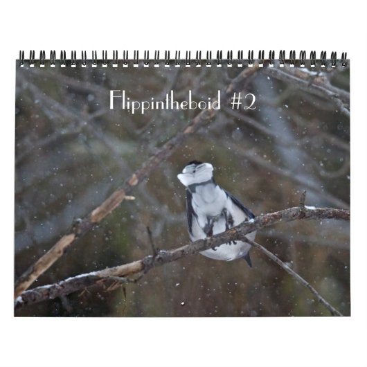 Calendrier Flippintheboid #2 (Protection)
