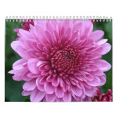 Calendrier floral (Protection)