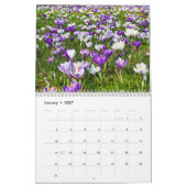 Calendrier floral (Jan 2027)