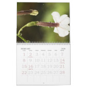 Calendrier floral (Feb 2026)