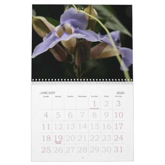 Calendrier floral (Jan 2026)