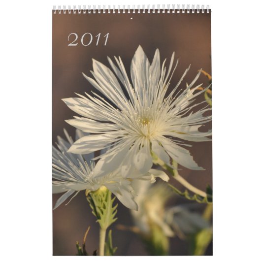 Calendrier floral 2011 (Protection)