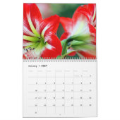 Calendrier Floral Beauté en Fleur pour Chaque Mois (Jan 2027)