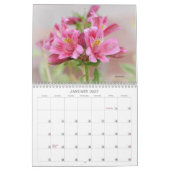 Calendrier floral des fleurs roses (Jan 2027)