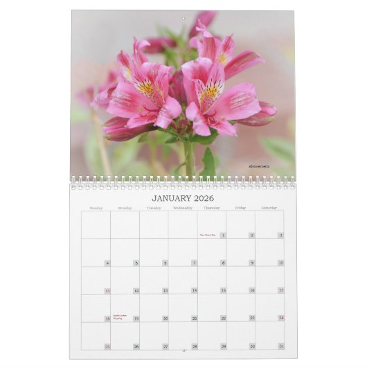 Calendrier floral des fleurs roses (Jan 2026)