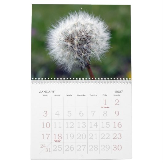 Calendrier floral suisse de l'étalage 2008 (Jan 2027)