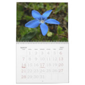 Calendrier floral suisse de l'étalage 2008 (Mar 2027)