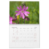 Calendrier floral suisse de l'étalage 2008 (Feb 2026)