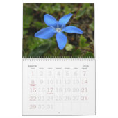 Calendrier floral suisse de l'étalage 2008 (Mar 2026)