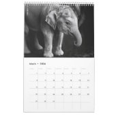 Calendrier Flore rouge gras (Mar 2026)