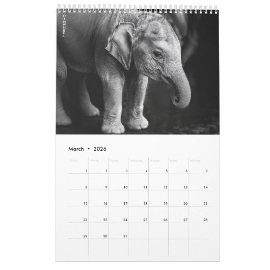 Calendrier Flore rouge gras (Mar 2026)