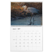 Calendrier Florida Water Birds Calendar 2023-2024 (Mar 2027)