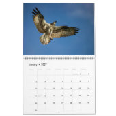 Calendrier Florida Water Birds Calendar 2023-2024 (Jan 2027)