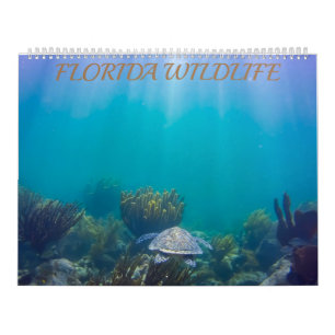 Calendrier Florida Wildlife Calendar 2020
