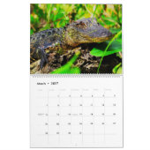 Calendrier Florida Wildlife Calendar 2020 (Mar 2027)