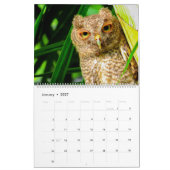 Calendrier Florida Wildlife Calendar 2020 (Jan 2027)