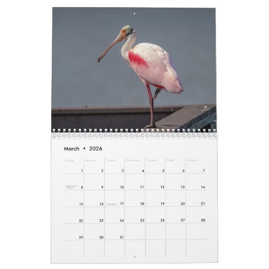 Calendrier Floride Faune dans Pinellas Comté 2026 (Mar 2026)