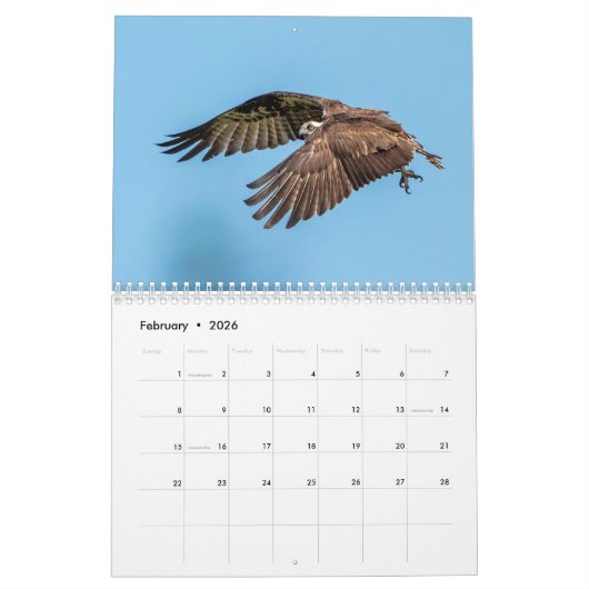 Calendrier Floride Faune dans Pinellas Comté 2026 (Feb 2026)