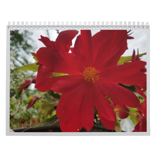 Calendrier Flower Are It 2026 Calendar (Protection)