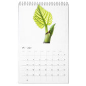 Calendrier Flower calendar (Jan 2027)