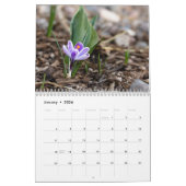 Calendrier Flower Calendar by Jody Wiele Photography (Jan 2026)