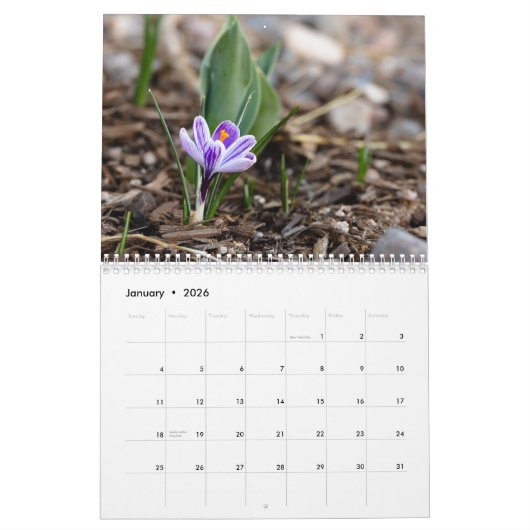 Calendrier Flower Calendar by Jody Wiele Photography (Jan 2026)