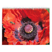 Calendrier Flower power (Protection)