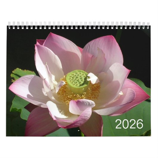 Calendrier Flowers Calendar 2026 (Protection)
